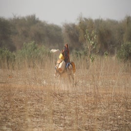 mauritanie-femme-sur-un-ane-standard.jpg