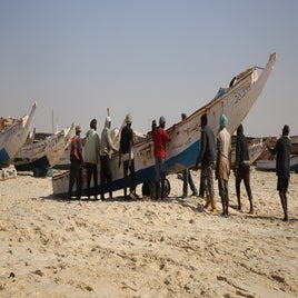 mauritanie-nouakchott-arrivee-des-pe-cheurs-standard.jpg