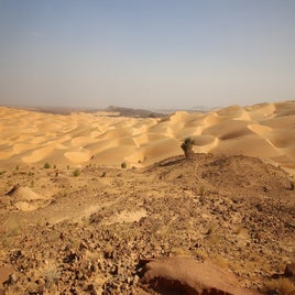 mauritanie-passe-de-r-me-paysages-standard-qlu9jj.jpg