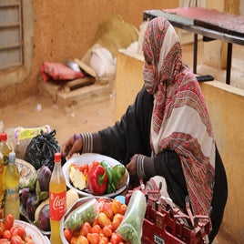 mauritanie-tidjikdja-femme-standard.jpg