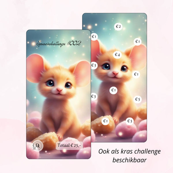 Spaarchallenge 002