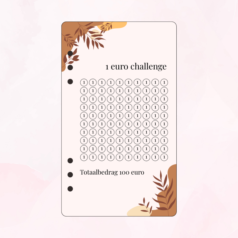 A6 Kleingeld challenge / 1euro  - Bohemian