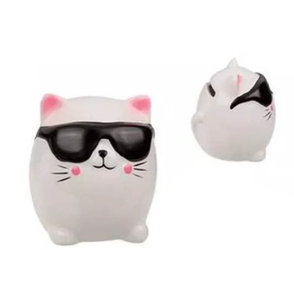 Mini spaarpot kitten - Zonnebril