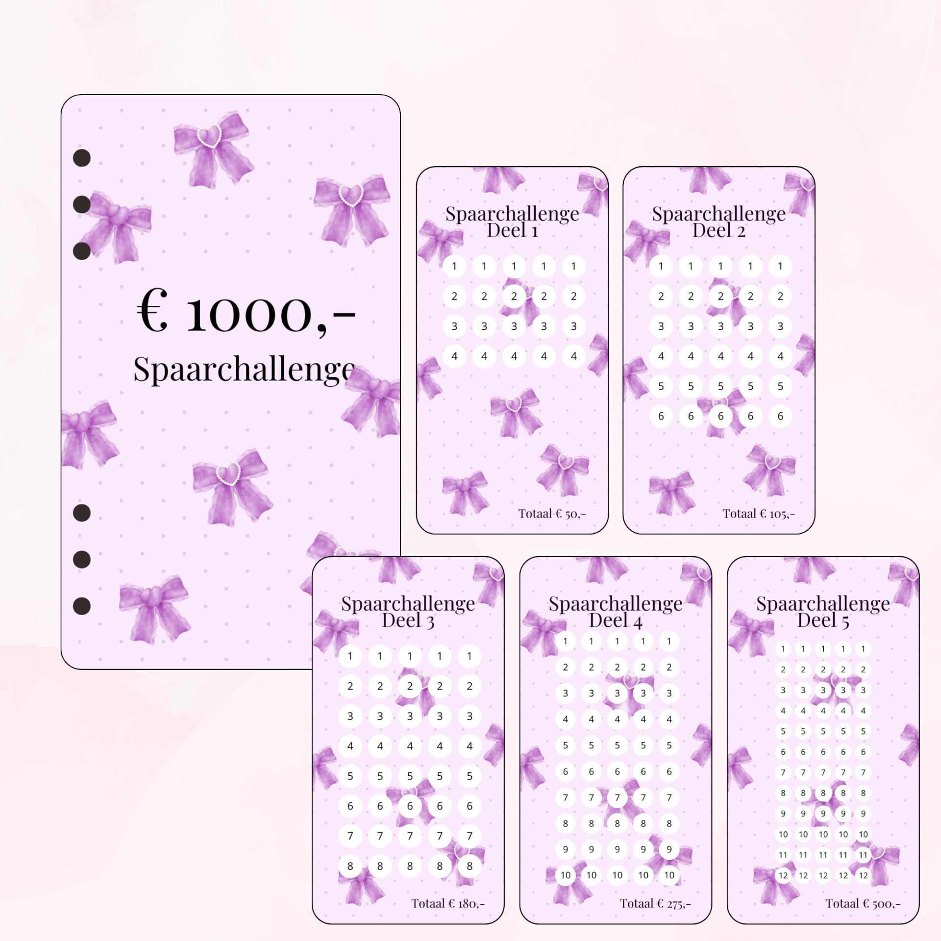 A6 €1000 challenge bundel - Lila