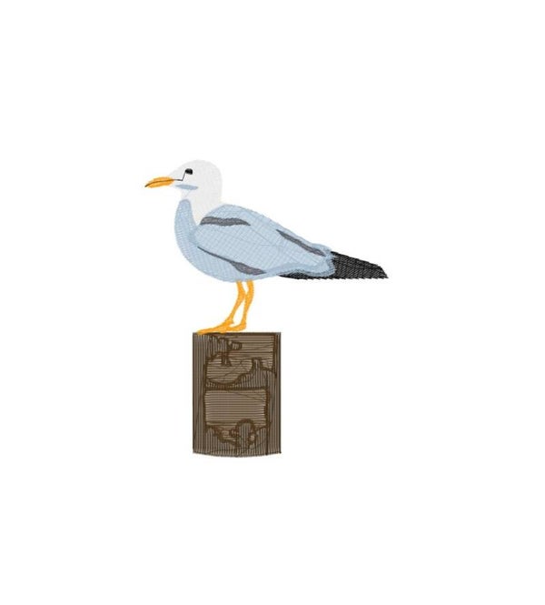 Möwe auf Poller