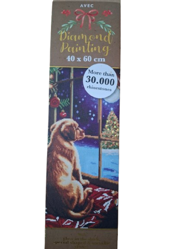 avec diamant painting 40x30cm