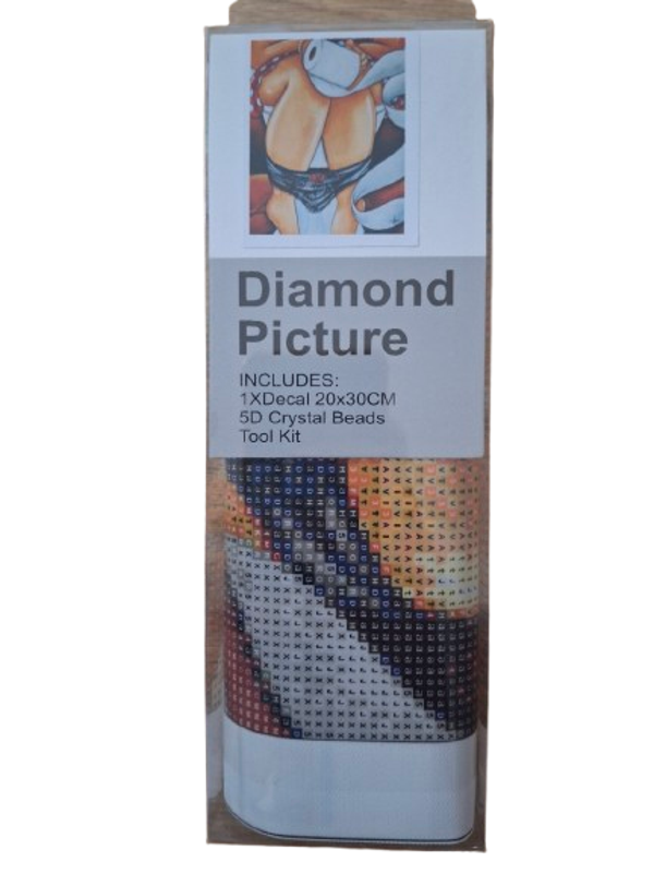 diamant painting 5d 20x30cm