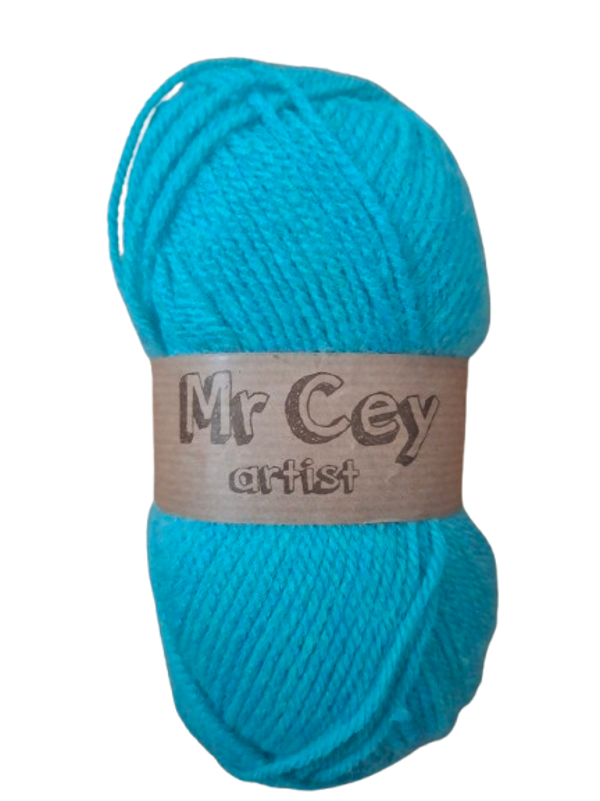 Mr. Cey Artist  (28)