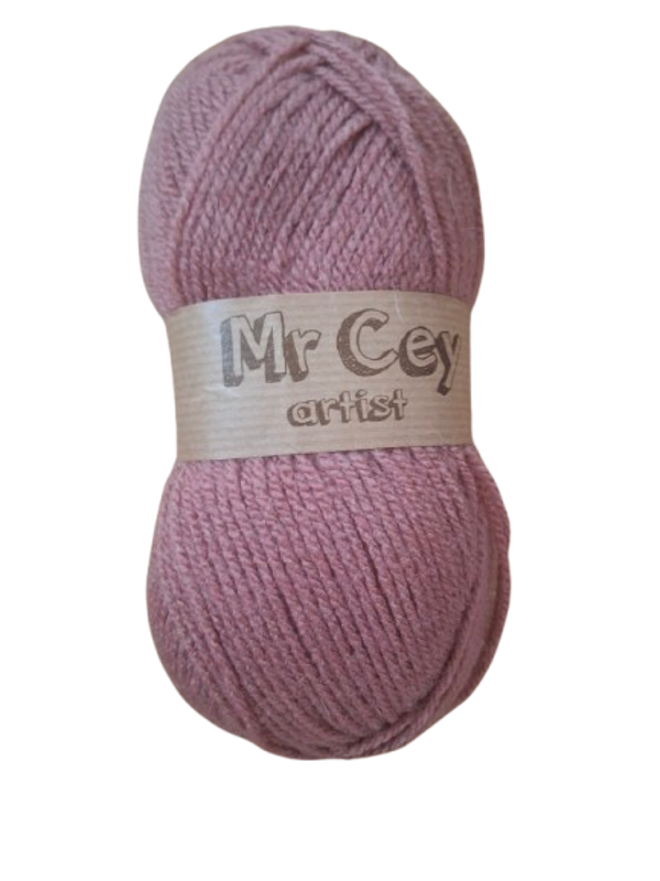 Mr. Cey Artist  (48)