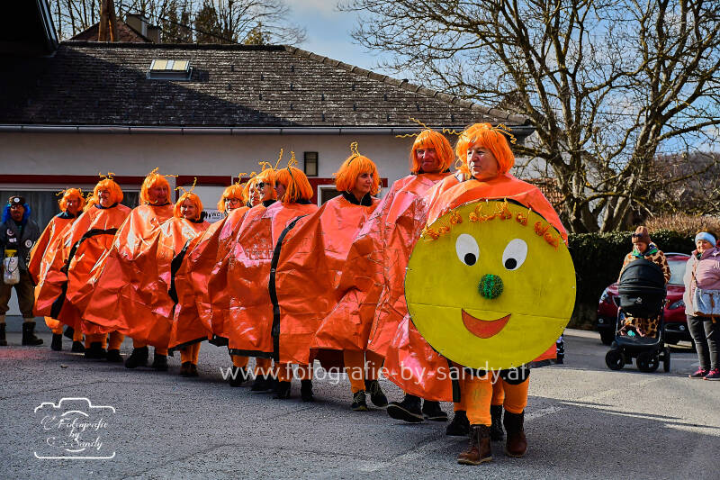 fasching-10-standard.jpg