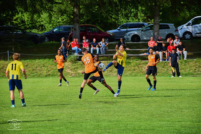 fussball-13-standard.jpg