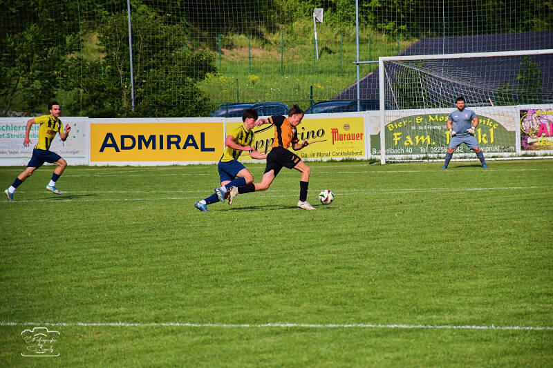 fussball-138-standard.jpg