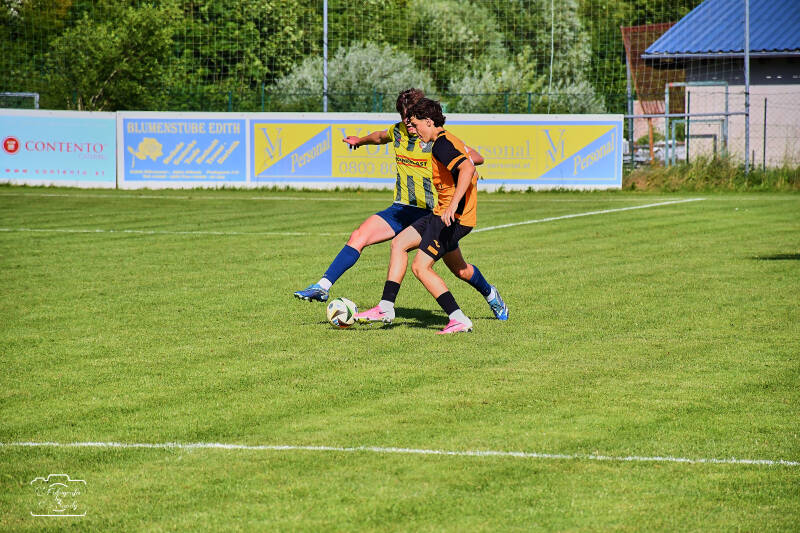 fussball-178-standard.jpg