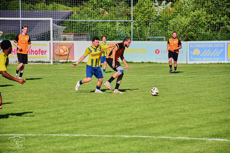 fussball-185-standard.jpg