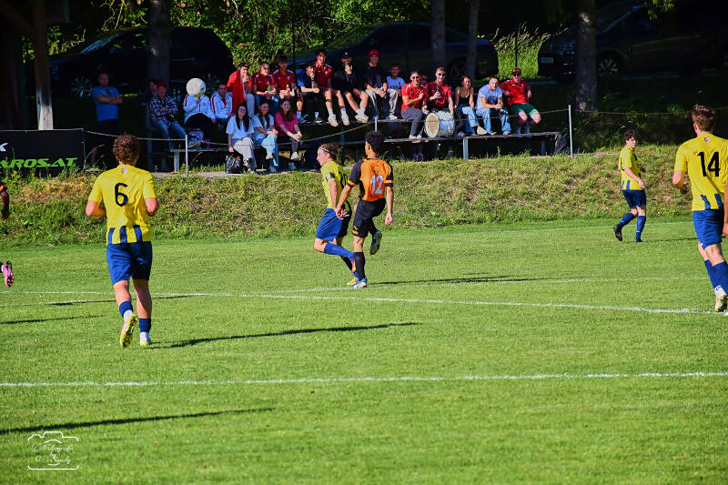 fussball-201-standard.jpg