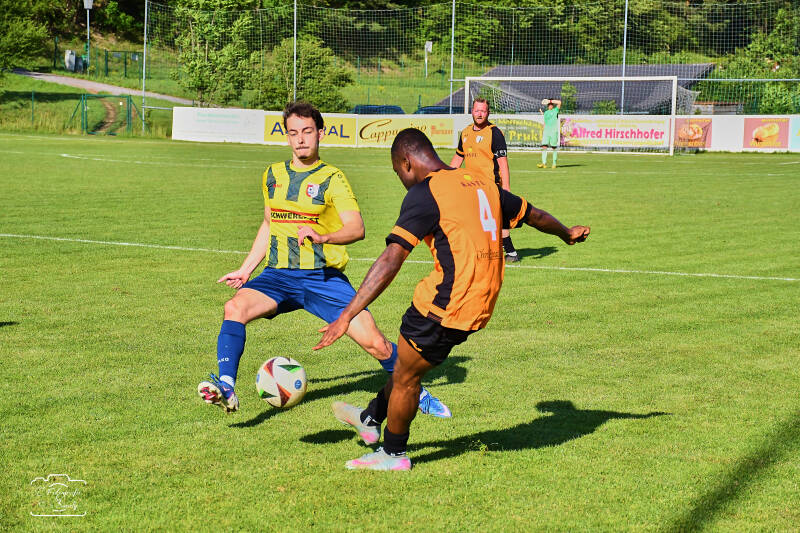 fussball-206-standard.jpg