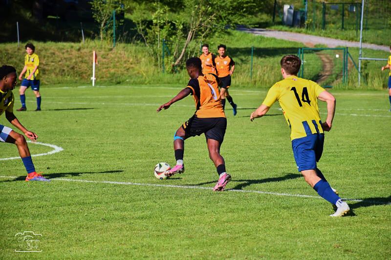 fussball-213-standard.jpg
