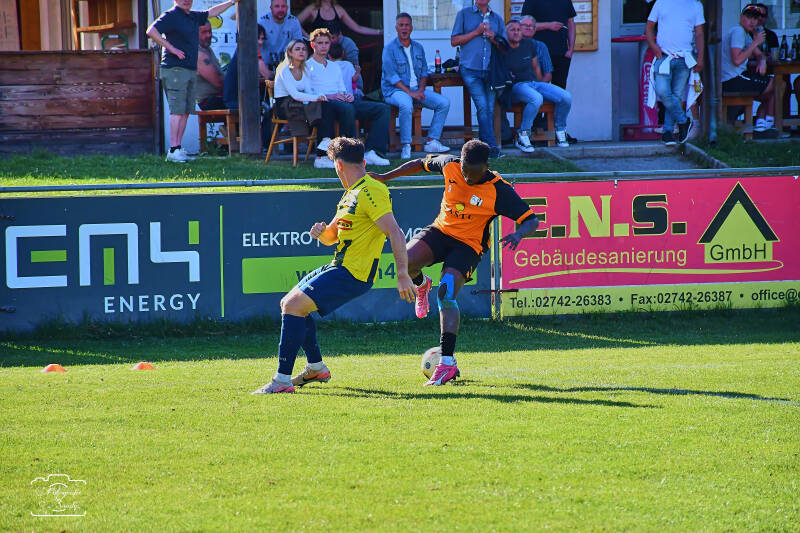 fussball-215-standard.jpg
