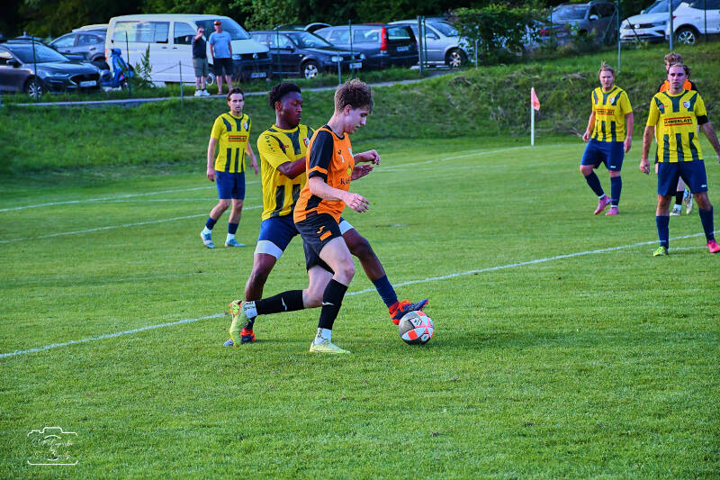 fussball-231-standard.jpg