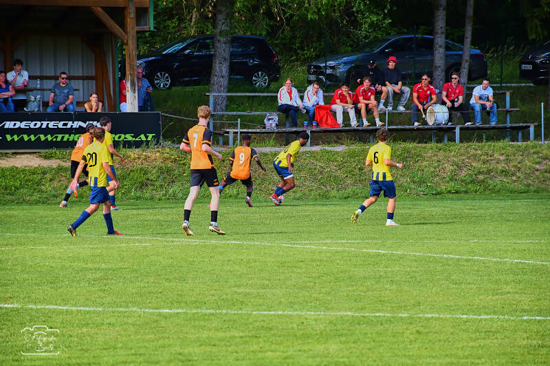 fussball-50-standard.jpg