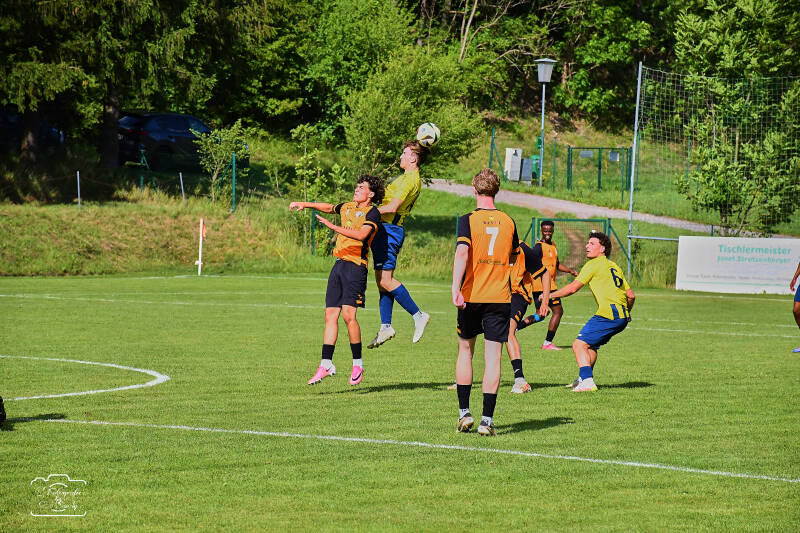 fussball-67-standard.jpg