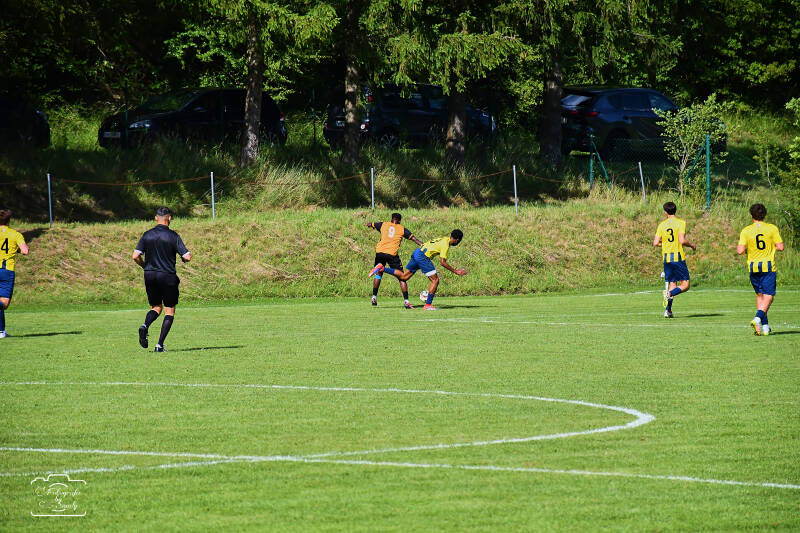 fussball-72-standard.jpg