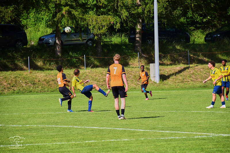 fussball-94-standard.jpg