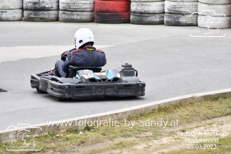 kartcup61jpg.jpg
