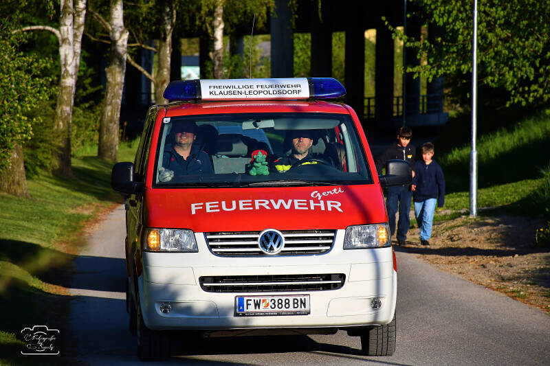 maibaum-10-standard-8nwyku.jpg