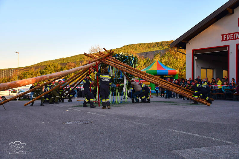 maibaum-100-standard-omoqvl.jpg