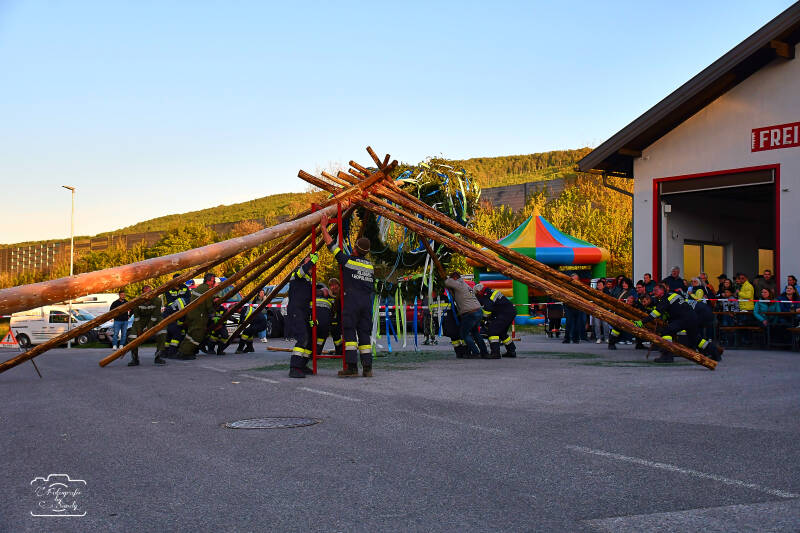 maibaum-101-standard-p6rf27.jpg