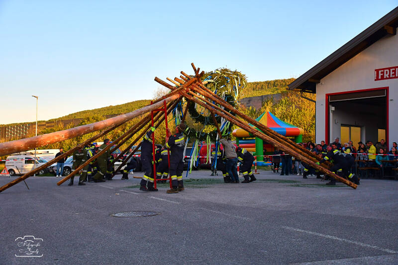 maibaum-102-standard-8a8y1b.jpg