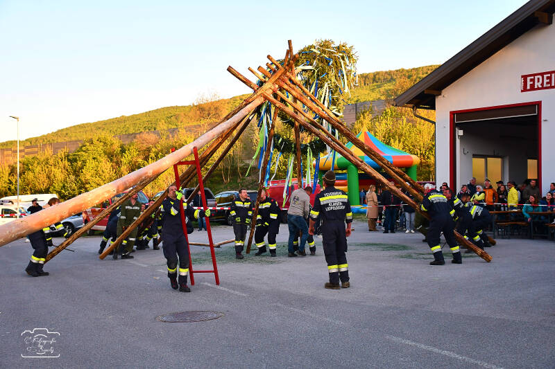 maibaum-103-standard-zr8yd0.jpg
