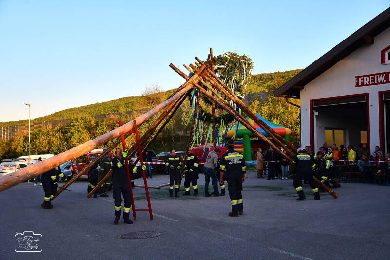 maibaum-104-standard-m8woze.jpg