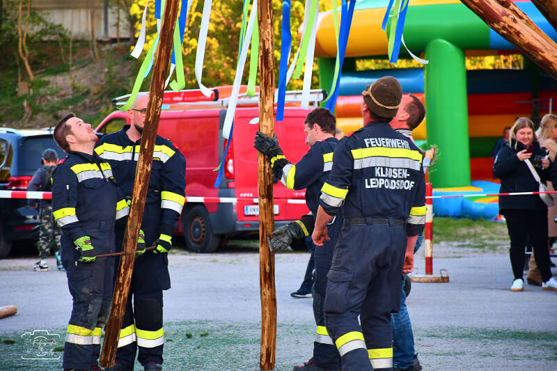maibaum-105-standard-2m7viw.jpg