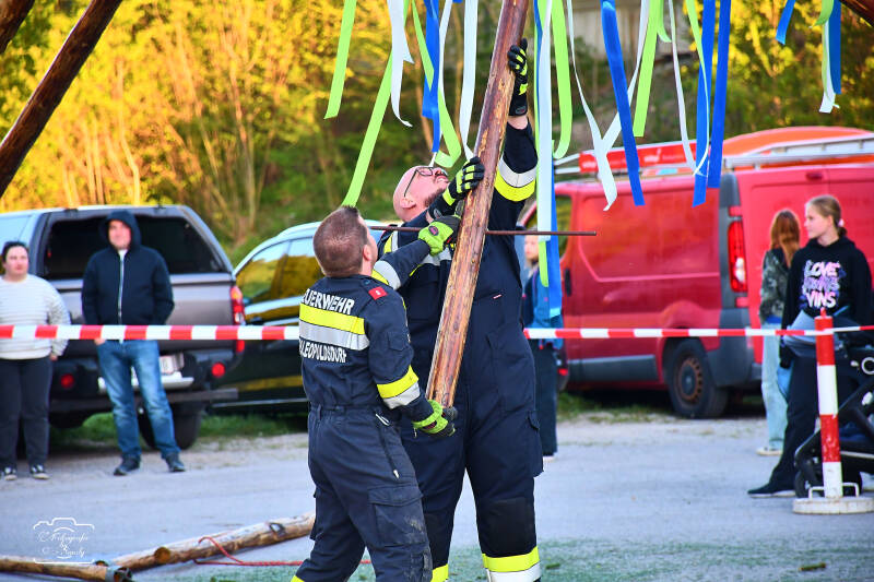 maibaum-106-standard-emzu5u.jpg