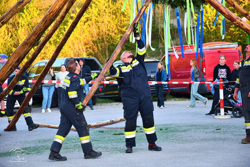 maibaum-107-standard-196o4i.jpg