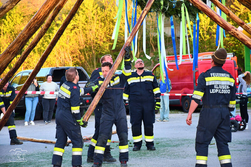 maibaum-108-standard-r376q1.jpg