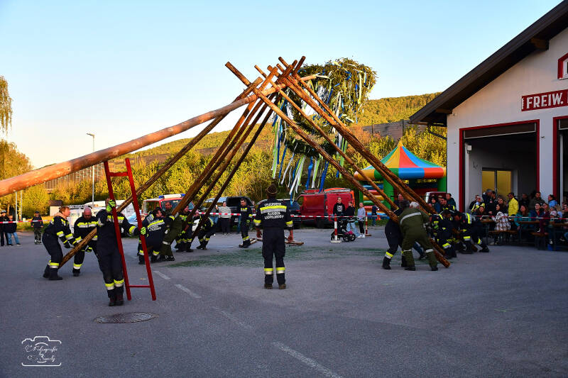 maibaum-110-standard-quc6un.jpg