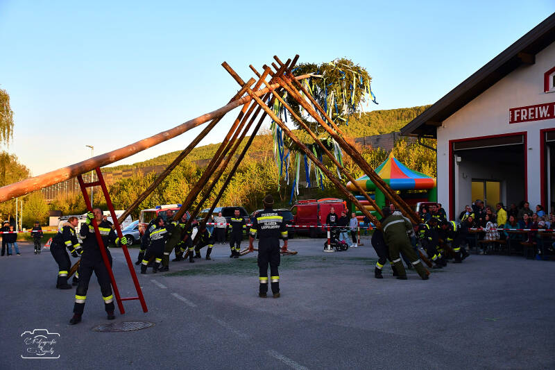 maibaum-111-standard-nygaqj.jpg