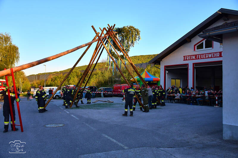 maibaum-112-standard-fwv02y.jpg