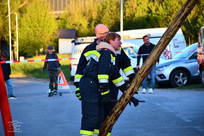 maibaum-113-standard-bwva08.jpg