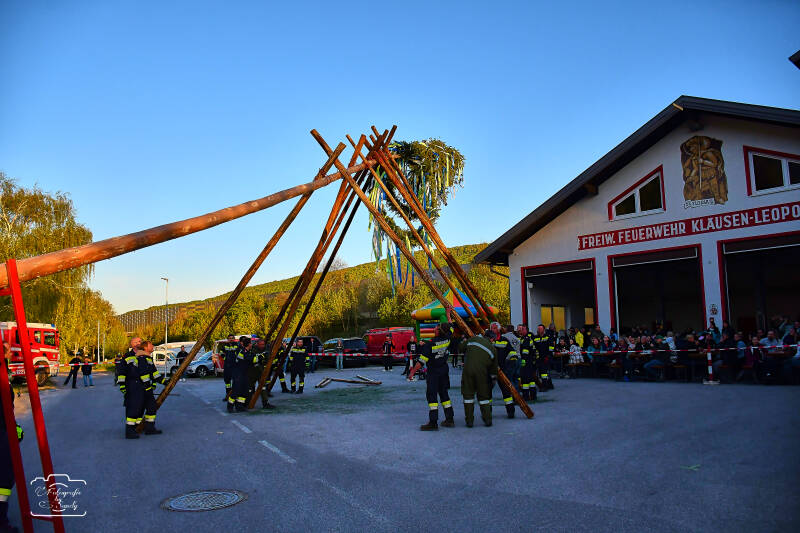 maibaum-114-standard-c7hi62.jpg