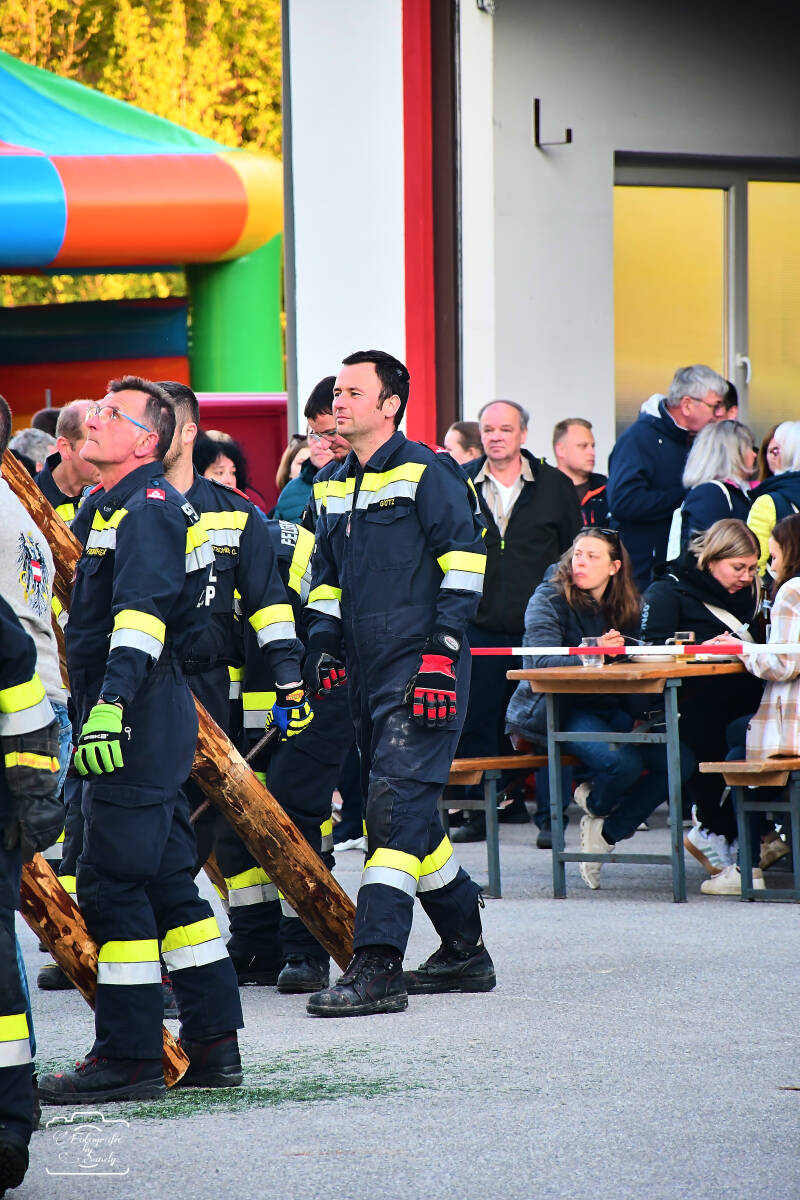 maibaum-115-standard-br3g7u.jpg