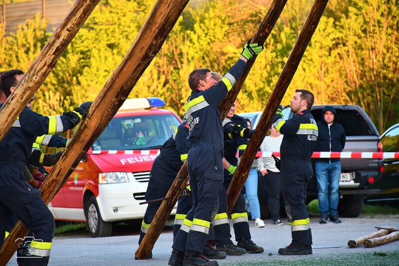 maibaum-117-standard-o3iod5.jpg