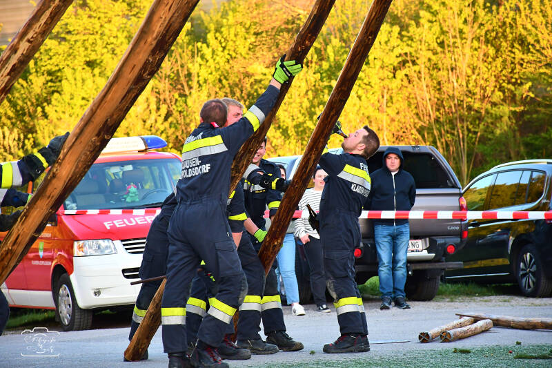 maibaum-118-standard-afd5ti.jpg