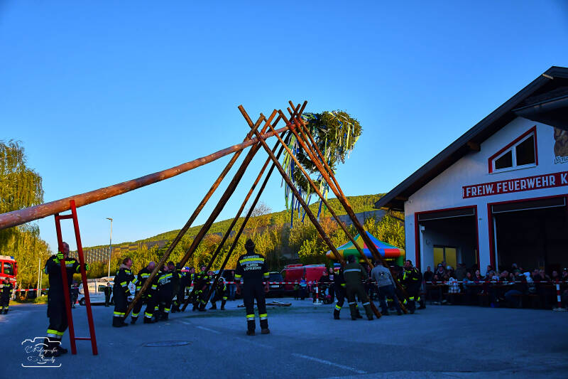 maibaum-119-standard-1fjnpy.jpg