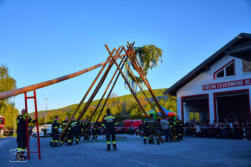 maibaum-120-standard-kzckl7.jpg