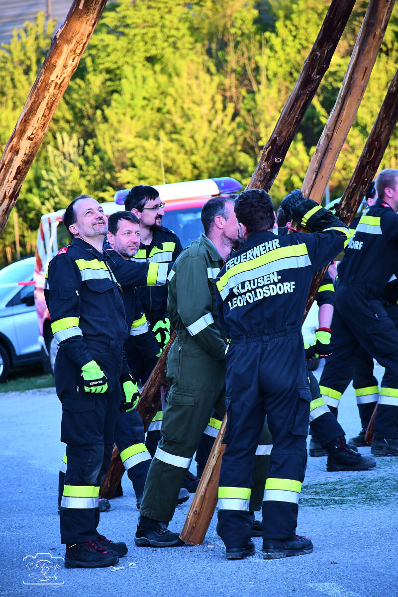 maibaum-121-standard-1mlxt9.jpg