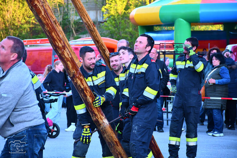 maibaum-122-standard-8k4i9x.jpg
